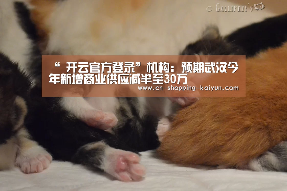  开云官方登录